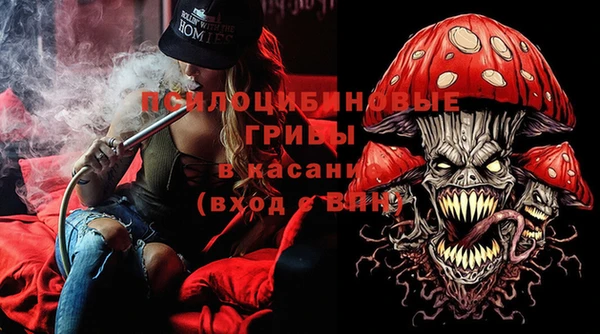 гидропоника Горняк