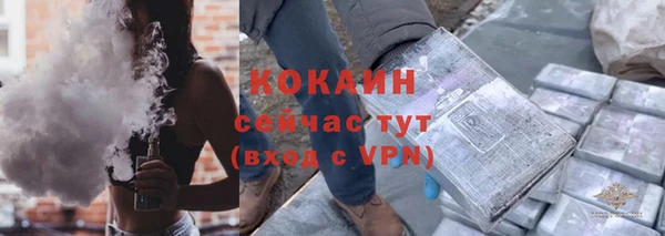 гидропоника Гусь-Хрустальный