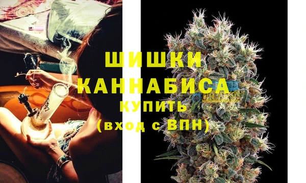 гидра Гусев