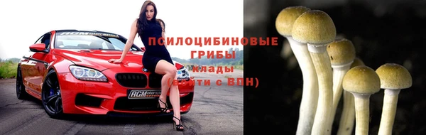 гашик Горно-Алтайск