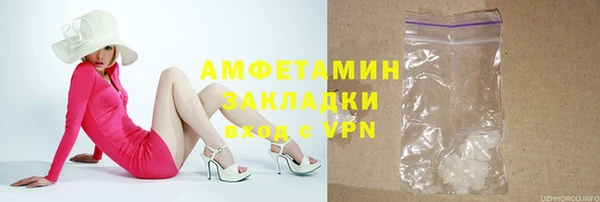 гидра Гусев
