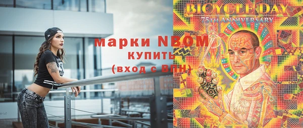 гидра Гусев