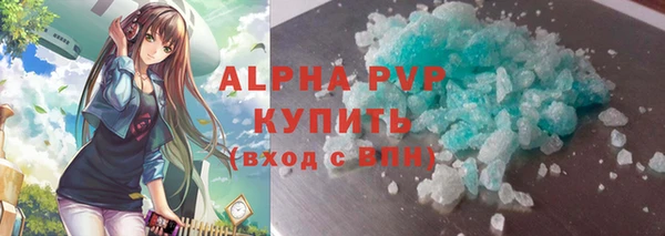 гидра Гусев