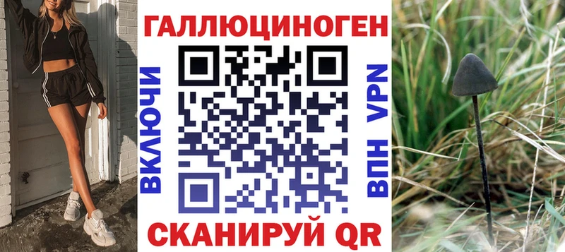 Купить закладки  Пучеж  Галлюциногенные грибы Magic Shrooms 